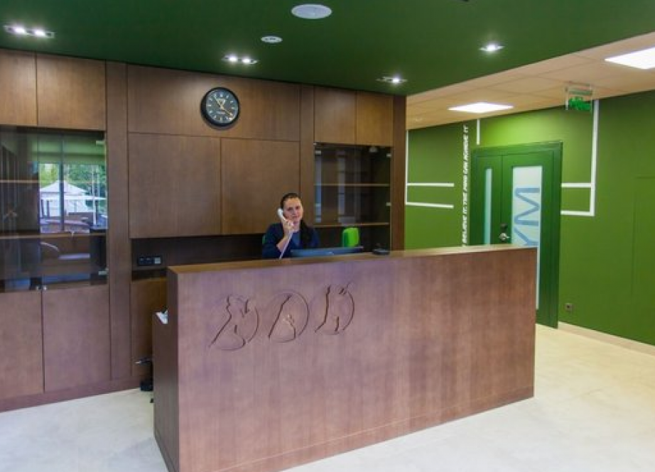 Академия Александра Островского Академия Александра Островского